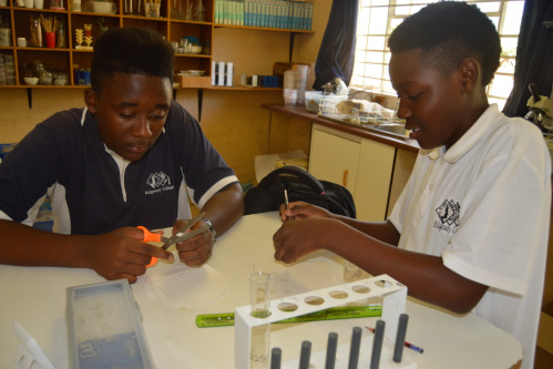 Middelburg College learners on campus in Mpumalanga